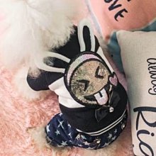 可愛休閒兔子印花大容量單肩包包女2023新款百搭通勤帆布託特包 歷史價格詳細信息