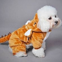 狗狗秋冬衣服 新款 保暖桃皮絨馬甲 中小型貓咪狗狗寵物服飾 狗狗冬季馬甲 貓咪保暖衣服 寵物加厚刷毛衣服 狗衣服 歷史價格詳細信息