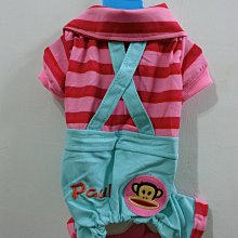 寵物衣服－龍貓造型－豆豆龍－狗狗貓咪配件－全面特價中〈買三件以上送寵物紓壓玩偶玩具乙支〉 歷史價格詳細信息