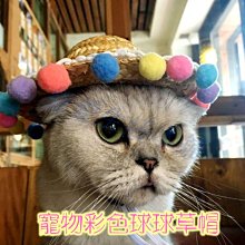 附發票【寵愛生活本舖】寵物飛織彈力鞋 狗鞋 寵物鞋 小狗鞋 歷史價格詳細信息