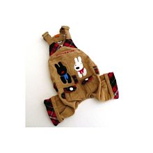 【DS】帶燈許願瓶玻璃瓶進口永生花玫瑰ins迷你花束禮盒生日情人節禮物★df 歷史價格詳細信息