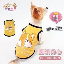 【叮咚小舖】TPR橡膠玩具 發聲玩具 拉扯玩具 寵物玩具 啃咬玩具 狗玩具 啾啾發聲玩具球 橡膠球【H124-6】 歷史價格詳細信息