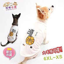 【叮咚小舖】TPR橡膠玩具 發聲玩具 拉扯玩具 寵物玩具 啃咬玩具 狗玩具 啾啾發聲玩具球 橡膠球【H124-6】 歷史價格詳細信息
