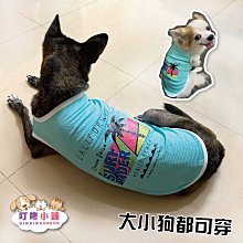 【叮咚小舖】TPR橡膠玩具 發聲玩具 拉扯玩具 寵物玩具 啃咬玩具 狗玩具 啾啾發聲玩具球 橡膠球【H124-6】 歷史價格詳細信息