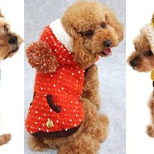 現貨Bouquet Garni 皇家蜂膠脫髮護理洗髮水 1000ml Royal Propolis Shampoo 歷史價格詳細信息