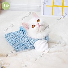 貓咪秋冬季polo領美式復古印花小熊字母兩腳大學T 狗狗泰迪寵物衣服 貓衣服 歷史價格詳細信息