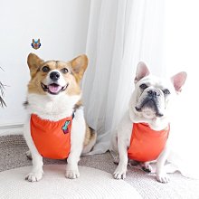 現貨熱銷-狗狗衣服防掉毛冬季斗牛犬巴哥法牛秋冬款寵物潮牌中型犬法斗皮衣真真啊 歷史價格詳細信息