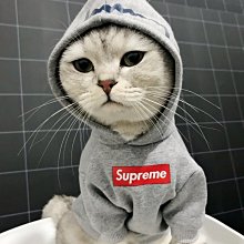 現貨熱銷-狗狗衣服防掉毛冬季斗牛犬巴哥法牛秋冬款寵物潮牌中型犬法斗皮衣真真啊 歷史價格詳細信息