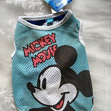 【Disney 迪士尼】米老鼠精選組(10DVD) 歷史價格詳細信息