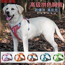 狗胸背印花可調節貓咪牽引繩發財麻將小型犬背心式寵物外出遛狗繩 歷史價格詳細信息