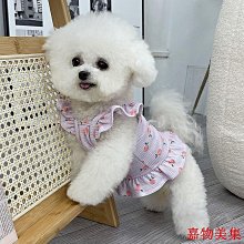 【快速出貨】泰迅適用insta360 X2 X3 GoPro12機車自行車騎行車把支架固定夾 歷史價格詳細信息