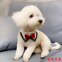【現貨】狗狗口水巾 小中型大型犬薩摩耶圍脖 圍巾 新款小恐龍飾品寵物小圍脖 歷史價格詳細信息