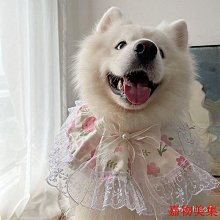 寵物領巾圍兜 寵物三角巾 狗狗領巾 貓咪領巾 狗項圈 口水巾 貓項圈 寵物配件 寵物口水巾 狗領巾 貓咪飾品 歷史價格詳細信息