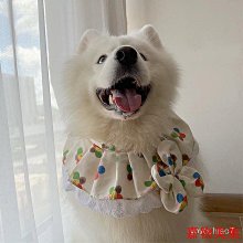 【現貨】狗狗口水巾 小中型大型犬薩摩耶圍脖 圍巾 新款小恐龍飾品寵物小圍脖 歷史價格詳細信息