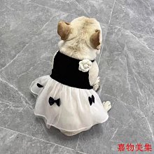 狗衣服 半裙小裙子春夏秋輕薄透氣布偶英短泰迪超夯 精品 歷史價格詳細信息