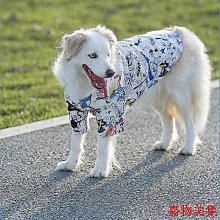宠物剃毛器大型犬电推剪金毛狗狗剪毛器大功率充电式剃毛机刀工具~特價 歷史價格詳細信息