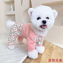 【現貨】夏季薄款泰迪小狗狗寵物貓衣服比熊雪納瑞博美柴犬柯基小型犬夏天 歷史價格詳細信息
