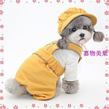貴賓犬小狗狗鞋子泰迪比熊博美雪納瑞寵物狗鞋子春秋春季一套4只小喇叭精品 促銷 正品 歷史價格詳細信息