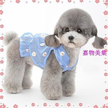 狗衣服 狗狗春夏季衣服泰迪美約克夏小型犬夏裝超夯 精品 歷史價格詳細信息