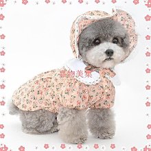狗衣服 狗狗小型犬貓咪比熊泰迪貴賓雪納瑞美裙超夯 精品 歷史價格詳細信息