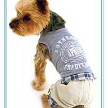 ⭐️現貨⭐️學院風單肩斜背包 格子女包-予你優選 歷史價格詳細信息