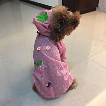 粉紅可愛狗 後背包 前後三層設計 側邊可放雨傘水壺 歷史價格詳細信息
