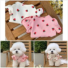 春夏款寵物衣服 狗狗喵咪衣服 外出卡通背心衣服 寵物裙 D扣牽引繩胸揹帶 寵物用品 歷史價格詳細信息