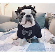 【現貨】韓版狗狗派對生日毛絨圍巾圍兜圍嘴貓咪寵物口水兜口水巾比熊犬 歷史價格詳細信息