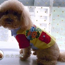 狗衣狗服│【春夏款】日本PETCO派可粉嫩愛心條紋雙面內搭衣/可愛打底內搭T-灰色L號 歷史價格詳細信息