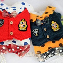 【米狗屋】cheer白底星星結綁帶生理褲˙M號 歷史價格詳細信息