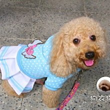 秋冬款適用登山鞋男防水防滑皮面運動鞋大尺碼東北棉鞋加絨保暖 歷史價格詳細信息