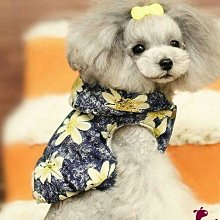 狗衣服 衣服小型幼犬春秋裝泰迪比熊美貓咪冬天超夯 精品 歷史價格詳細信息