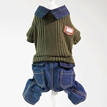 寵物服 寵物狗狗衣服貓咪衣服秋冬季新款寵物兩腿絨衣服裝22荷包蛋絨衣 歷史價格詳細信息