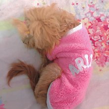 猫咪衣服冬装泰迪比熊法斗狗狗衣服猫衣服宠物秋冬潮牌拼接衣服 歷史價格詳細信息