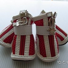 寵物鞋子狗狗鞋子牛仔帆布鞋板鞋防滑貴賓金毛柴犬鞋子 歷史價格詳細信息