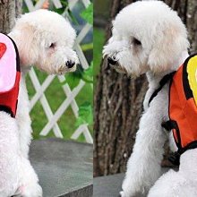 【監獄寵物館】日本 PETCO 寵物綁帶生理褲 **破盤大特價優惠，賣完不再進貨** 歷史價格詳細信息