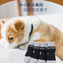 附發票！【寵愛生活本舖】-9號~11號賣場-寵物中筒拉鍊式縮口休閒犬鞋 不掉 狗鞋 大狗鞋 小狗鞋 寵物鞋 歷史價格詳細信息