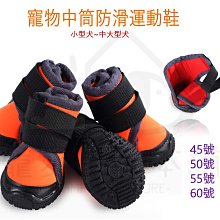 附發票！【寵愛生活本舖】-9號~11號賣場-寵物中筒拉鍊式縮口休閒犬鞋 不掉 狗鞋 大狗鞋 小狗鞋 寵物鞋 歷史價格詳細信息