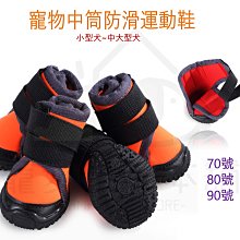 附發票！【寵愛生活本舖】-9號~11號賣場-寵物中筒拉鍊式縮口休閒犬鞋 不掉 狗鞋 大狗鞋 小狗鞋 寵物鞋 歷史價格詳細信息