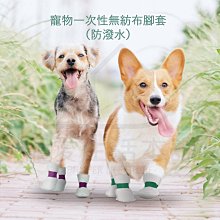 附發票【寵愛生活本舖】多吉棒潔牙骨 雞肉條 風味棒 DOGGY POKY 潔牙零食 寵物零食 寵物肉條 歷史價格詳細信息