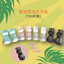 附發票【寵愛生活本舖】多吉棒潔牙骨 雞肉條 風味棒 DOGGY POKY 潔牙零食 寵物零食 寵物肉條 歷史價格詳細信息