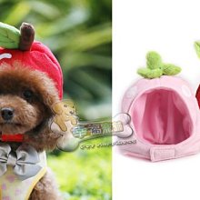 *@幸福寵舖＠ 中壢幸福寵【寵物狗喵自背包書包-250元多款】外出散步溜狗超好用 歷史價格詳細信息