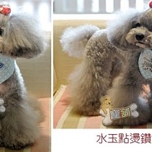 『中部批發』藍水鯨 CT-1811 18吋 工業扇 工業電扇 升降立扇 電風扇 旋轉風扇 同關山 水玲瓏(台灣製造) 歷史價格詳細信息