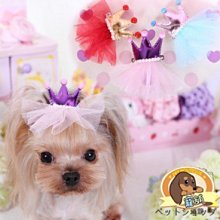 寵舖】平鎮中壢寵物精品批發零售【寵物服飾 ISPET高質感巴洛克玫瑰】黑色粉色 歷史價格詳細信息