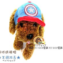 寵舖 平鎮中壢寵物用品批發【寵物中大型犬衣服 足球衣】吉娃娃;雪納瑞;臘腸;長毛吉娃娃 歷史價格詳細信息