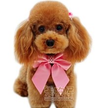 ????夏日清涼竹枕頭????麻將枕頭❤️清涼消暑聖品 桑拿房專用枕頭 汗蒸館枕頭 浴池專用枕頭 麻將空心枕 竹枕頭 竹枕 歷史價格詳細信息