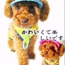 狗衣狗服│cute巴洛克風貴族奢華水鑽愛心項鍊-粉紅色 歷史價格詳細信息