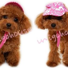 【米狗屋】動物橡膠啾啾玩具˙黃色小鴨/長頸鹿/粉兔/藍兔 歷史價格詳細信息