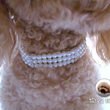 狗衣狗服│cute巴洛克風貴族奢華水鑽愛心項鍊-粉紅色 歷史價格詳細信息