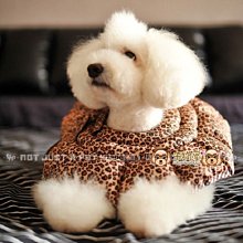 【米狗屋】寵物太陽眼鏡(大)˙防風眼鏡／防護眼鏡／遮陽眼鏡˙紅/粉/白 歷史價格詳細信息